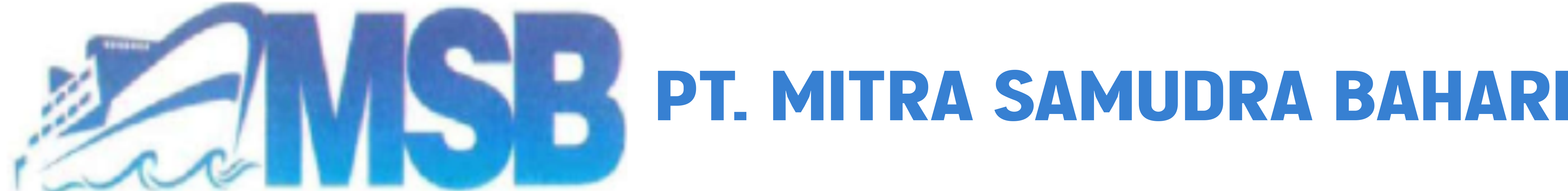 11. MSB